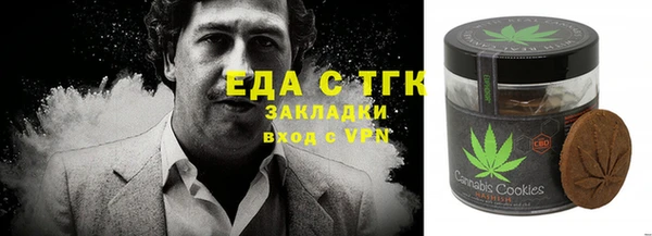 мдпв Богородицк
