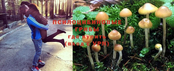 амфетамин Богданович