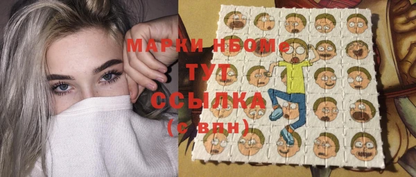индика Бугульма