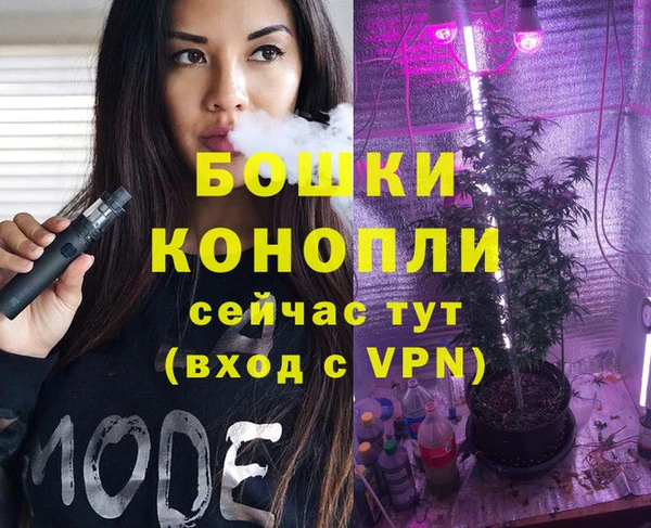 мдпв Богородицк