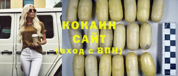 мдпв Богородицк